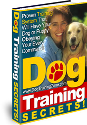 Dog Training Guide