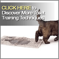 Toilet Training Your Puppy