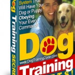 Dog Training Guide